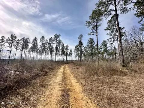 6145 Dry Grove Rd, Terry, MS 39170 photo 5