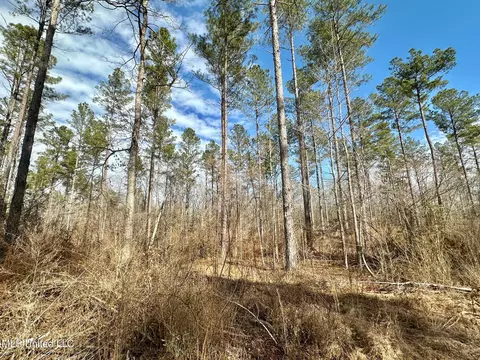 6145 Dry Grove Rd, Terry, MS 39170 photo 62