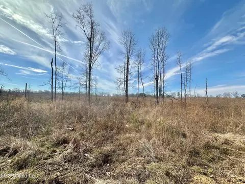 6145 Dry Grove Rd, Terry, MS 39170 photo 29