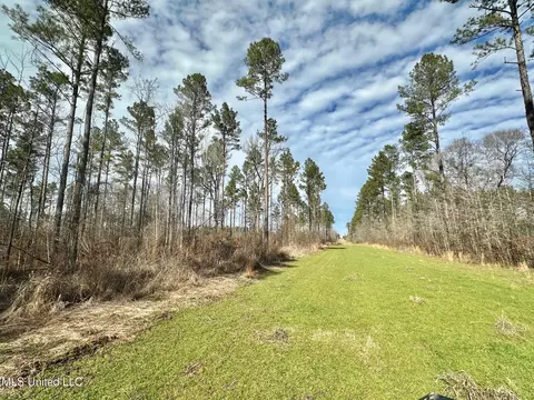 6145 Dry Grove Rd, Terry, MS 39170 photo 60