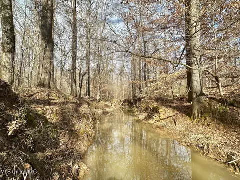 6145 Dry Grove Rd, Terry, MS 39170 photo 64
