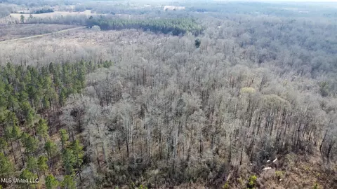 6145 Dry Grove Rd, Terry, MS 39170 photo 51