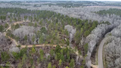 6145 Dry Grove Rd, Terry, MS 39170 photo 85