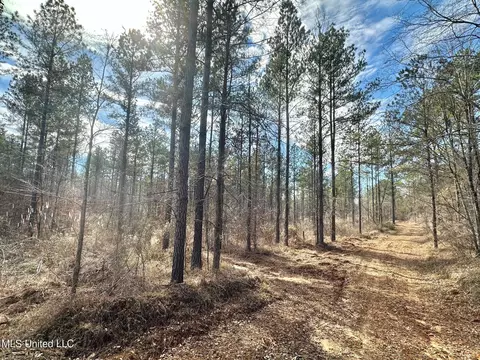 6145 Dry Grove Rd, Terry, MS 39170 photo 36