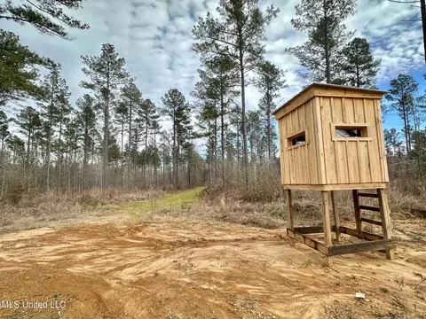6145 Dry Grove Rd, Terry, MS 39170 photo 76