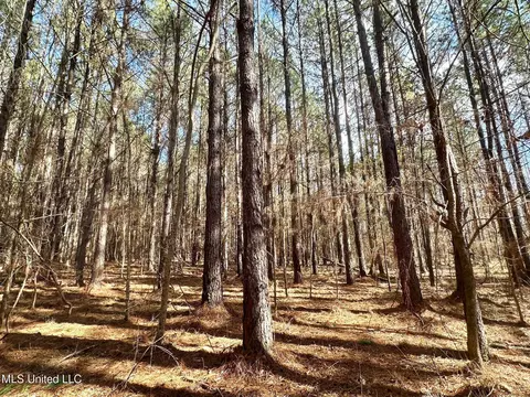 6145 Dry Grove Rd, Terry, MS 39170 photo 40