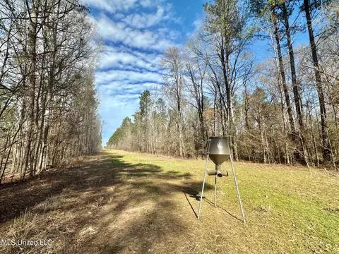 6145 Dry Grove Rd, Terry, MS 39170 photo 59