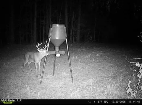 6145 Dry Grove Rd, Terry, MS 39170 photo 103