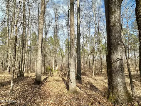 6145 Dry Grove Rd, Terry, MS 39170 photo 66