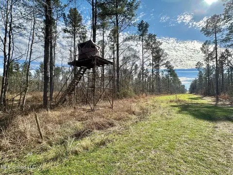 6145 Dry Grove Rd, Terry, MS 39170 photo 57