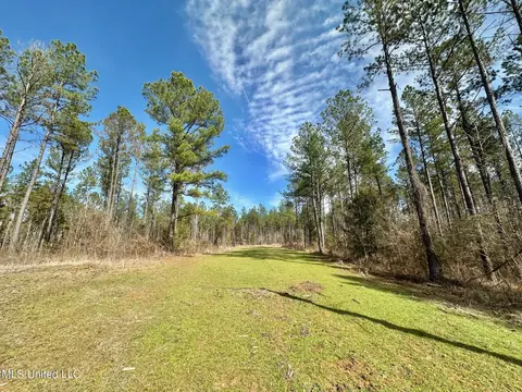6145 Dry Grove Rd, Terry, MS 39170 photo 35