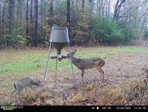 6145 Dry Grove Rd, Terry, MS 39170 photo 102