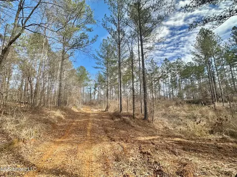 6145 Dry Grove Rd, Terry, MS 39170 photo 38