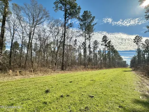 6145 Dry Grove Rd, Terry, MS 39170 photo 58