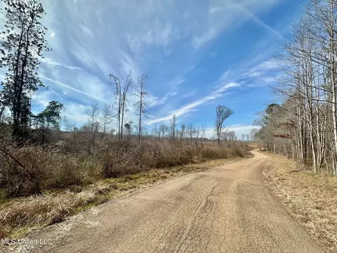6145 Dry Grove Rd, Terry, MS 39170 photo 28