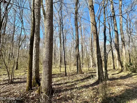 2 Champion Hill Rd, Bolton, MS 39041