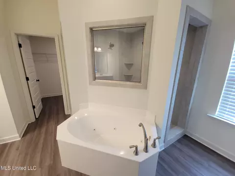 Bath - 2263 Dela Dr, Southaven, MS 38672 photo 1 of 7