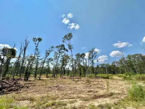 0 Railroad Ave, Georgetown, MS 39078 photo 23