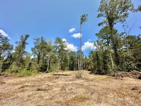 0 Railroad Ave, Georgetown, MS 39078 photo 17