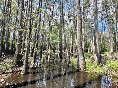 0 Railroad Ave, Georgetown, MS 39078 photo 30