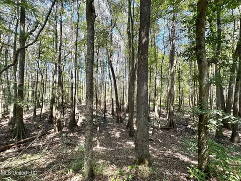 0 Railroad Ave, Georgetown, MS 39078 photo 24
