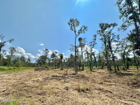 0 Railroad Ave, Georgetown, MS 39078 photo 22
