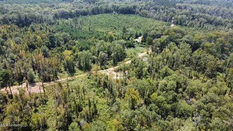 0 Railroad Ave, Georgetown, MS 39078 photo 43