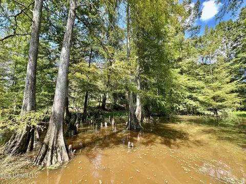 0 Railroad Ave, Georgetown, MS 39078 photo 21