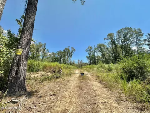 0 Railroad Ave, Georgetown, MS 39078 photo 13