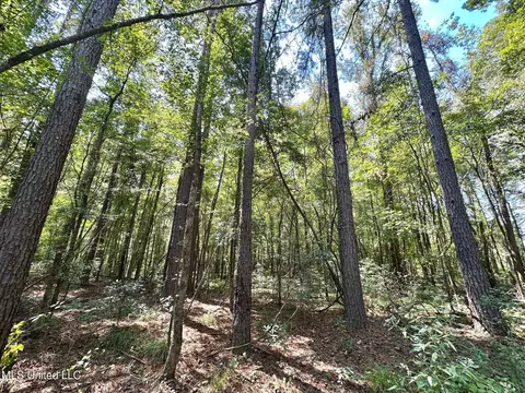 0 Railroad Ave, Georgetown, MS 39078 photo 26