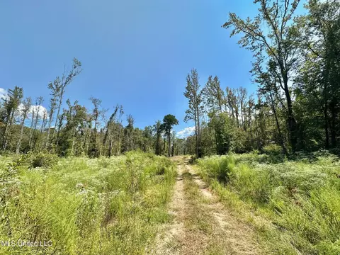 0 Railroad Ave, Georgetown, MS 39078 photo 15