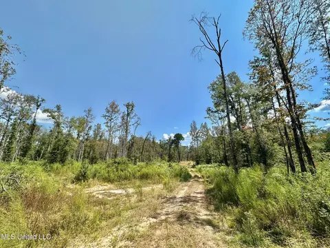 0 Railroad Ave, Georgetown, MS 39078 photo 14
