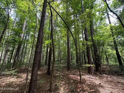 0 Railroad Ave, Georgetown, MS 39078 photo 6