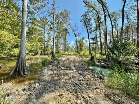 0 Railroad Ave, Georgetown, MS 39078 photo 20
