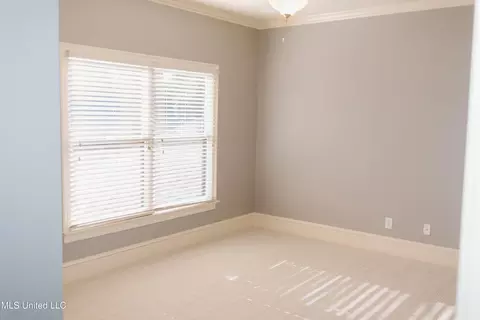 71 Grandview Cir, Brandon, MS 39047 photo 58