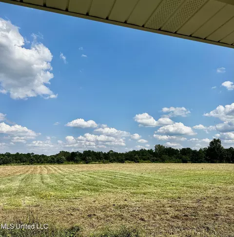 25960 Yellow Bluff Rd, Lucedale, MS 39452 photo 3