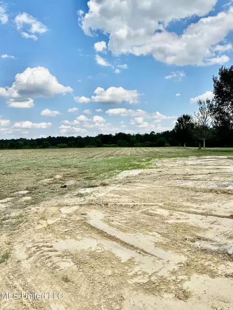25940 Yellow Bluff Rd, Lucedale, MS 39452 photo 3
