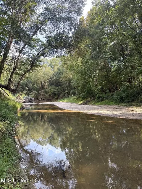 1001 Mullins Ln, Crystal Springs, MS 39059