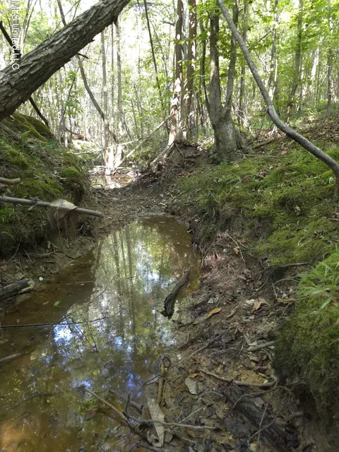 Cub Brown Road, Sontag, MS 39665