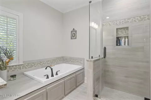 Bath - 148 Deertrail Ln, Madison, MS 39110 photo 3 of 8