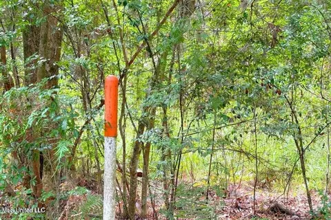 8405 Wire Rd, Vancleave, MS 39565 photo 5
