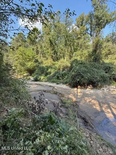 Davie Ln, Roxie, MS 39661 photo 5