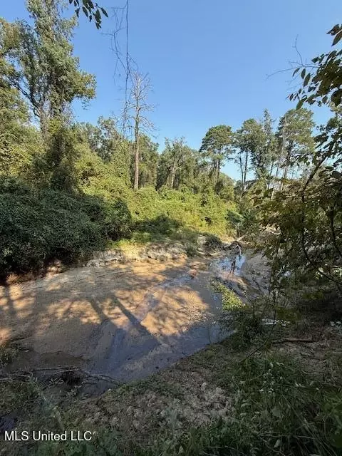 Davie Ln, Roxie, MS 39661 photo 6