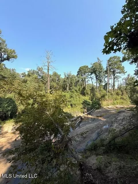 Davie Ln, Roxie, MS 39661 photo 7