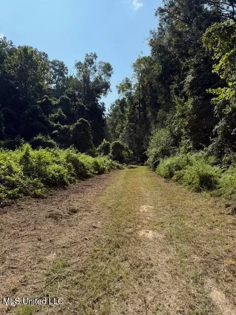 Davie Ln, Roxie, MS 39661 photo 9