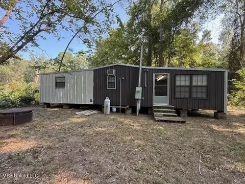 Davie Ln, Roxie, MS 39661 photo 3