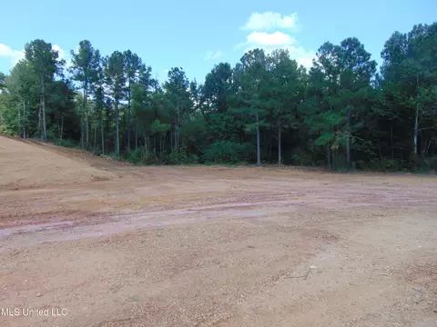 1010 Tarver Ln, Wesson, MS 39191 photo 7