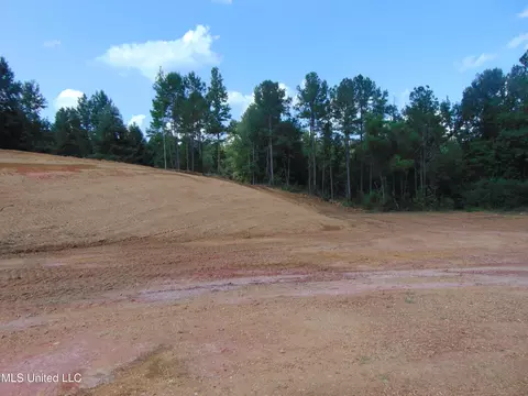1010 Tarver Ln, Wesson, MS 39191 photo 6