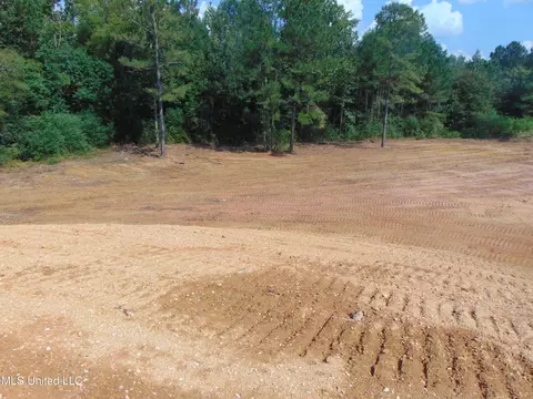 1010 Tarver Ln, Wesson, MS 39191 photo 11