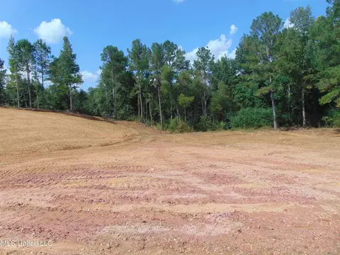 1010 Tarver Ln, Wesson, MS 39191 photo 9